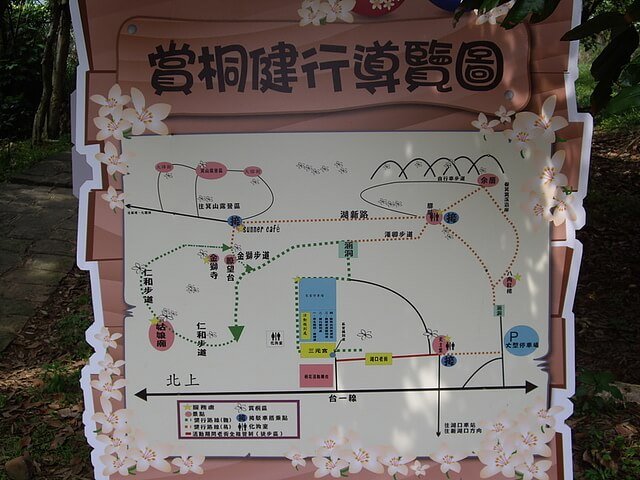 仁和步道口賞桐導覽圖