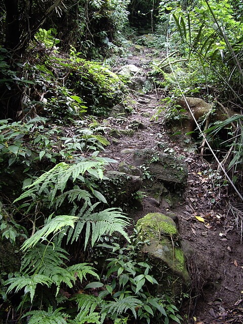 金童山、玉女山