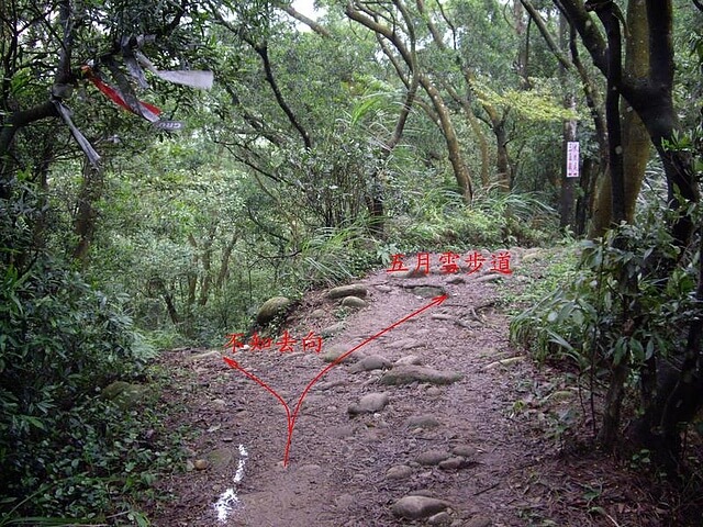 挑炭古道、三通嶺、五月雪步道、三義山