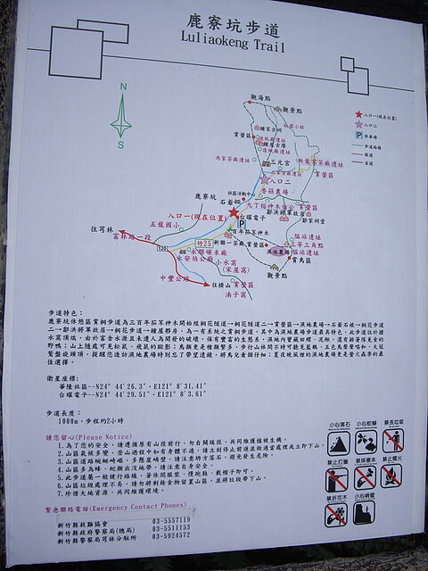 鹿寮坑桐花步道、雞寮坑山、顯伯公