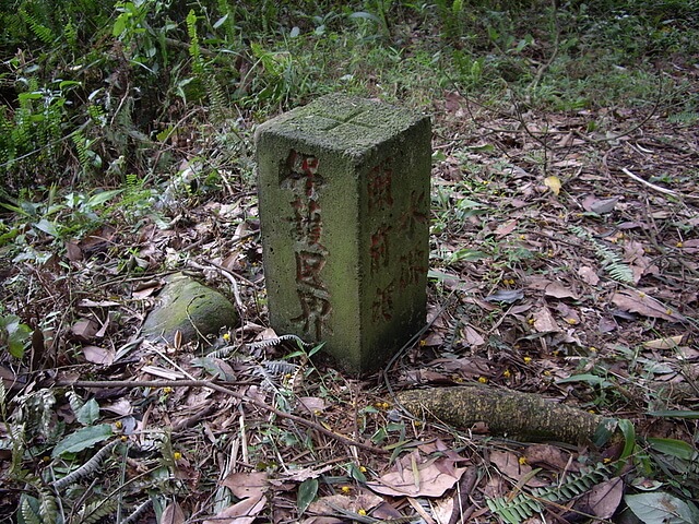 鹿寮坑桐花步道、雞寮坑山、顯伯公