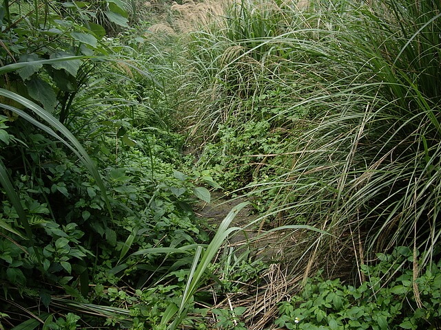 流民窩山