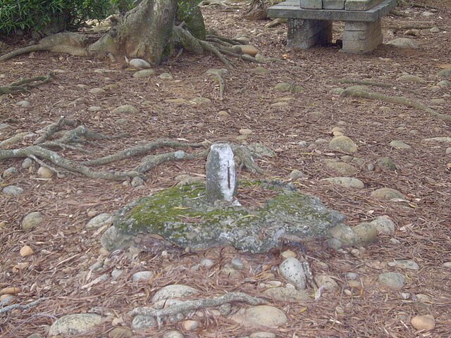 中正公園登山步道