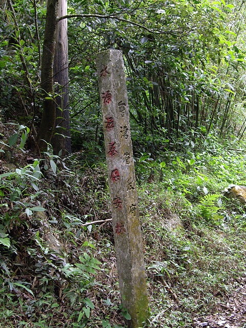 台灣省政府水源涵養保安林石柱