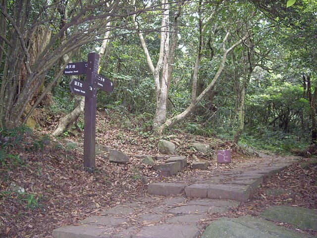 面天山、向天山、向天池山，順遊無極天元宮