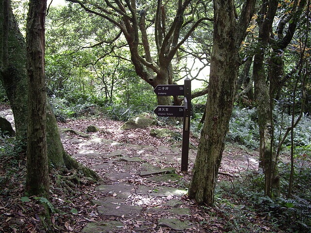 面天山、向天山、向天池山，順遊無極天元宮