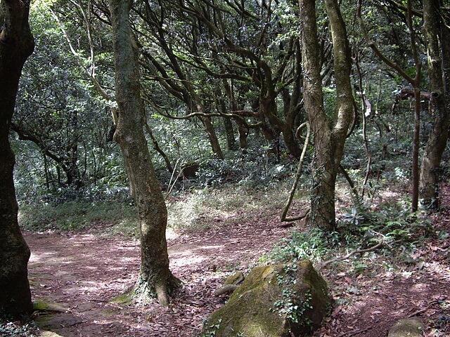 山子頂叉路