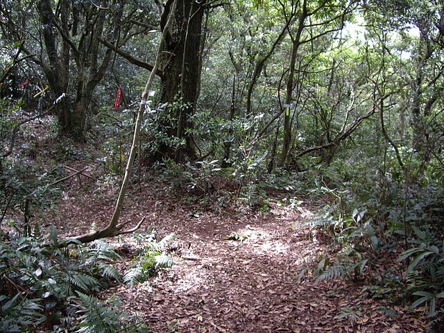 面天山、向天山、向天池山，順遊無極天元宮