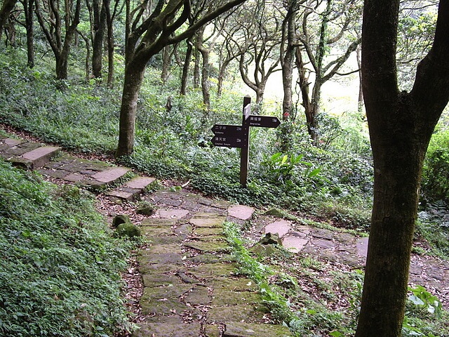 面天山、向天山、向天池山，順遊無極天元宮