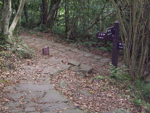 面天山、向天山、向天池山，順遊無極天元宮