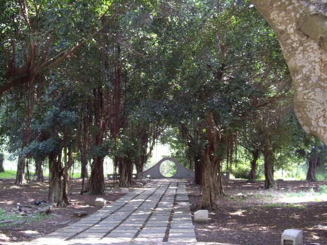 萬里長城健康步道 榕樹公園