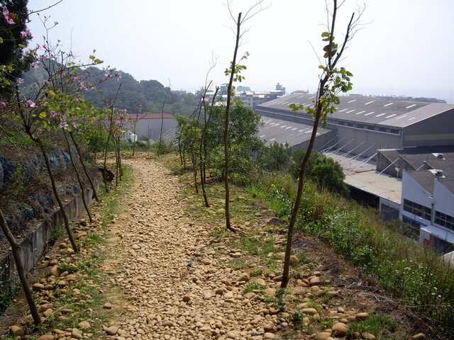 萬里長城健康步道 鵝卵石路