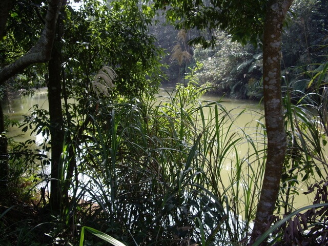 大崙湖 大崙尾山、大崙頭山