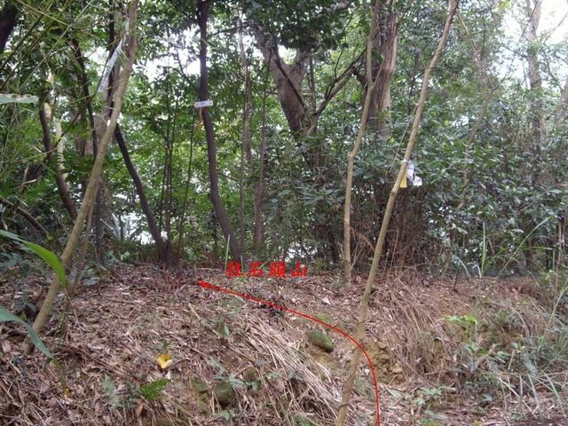 石頭山登山口