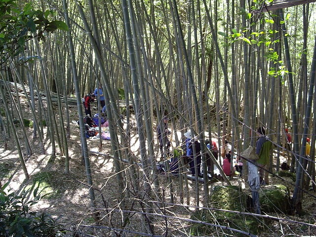 金敏子山、詩朗山、塞口坑山、內金敏山