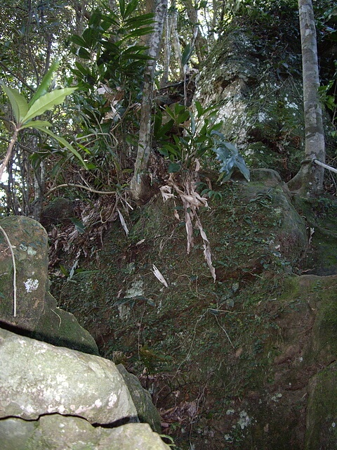 金敏子山、詩朗山、塞口坑山、內金敏山