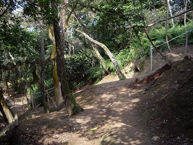 鶯歌石、牛灶坑山、龜公山