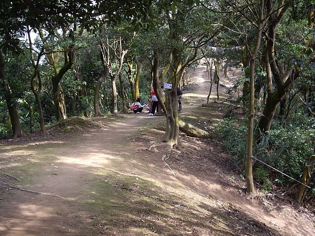 鶯歌石、牛灶坑山、龜公山