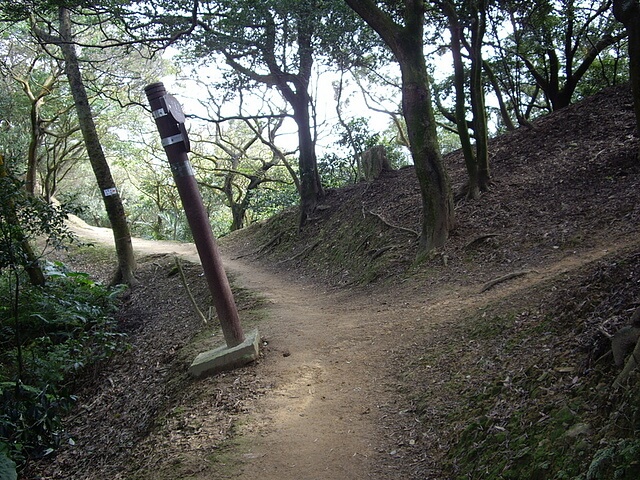 鶯歌石、牛灶坑山、龜公山