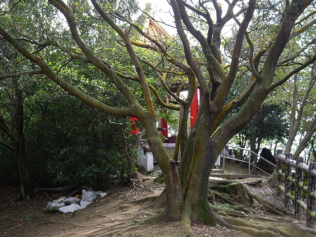 鶯歌石、牛灶坑山、龜公山