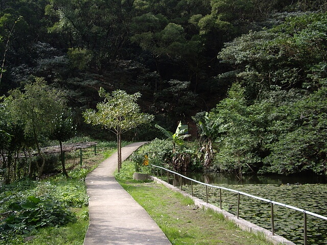 鶯歌石、牛灶坑山、龜公山