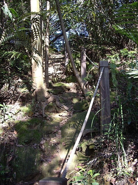 鳶尾山、鳶山東峰、福德坑山、鳶山