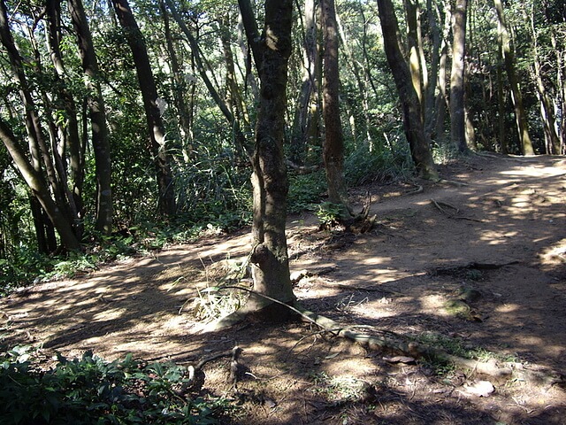 鳶尾山、鳶山東峰、福德坑山、鳶山