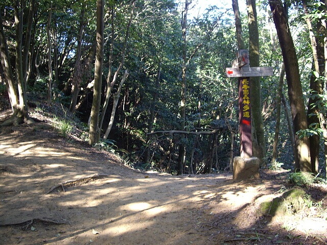 鳶尾山、鳶山東峰、福德坑山、鳶山