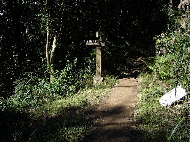 鳶尾山、鳶山東峰、福德坑山、鳶山