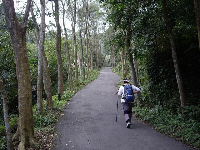 長春園光腊樹步道