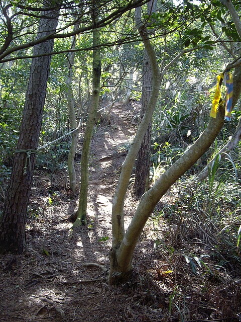 三段崎古道、石頭坑山