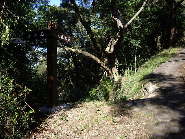 文林古道、糖塔山、高梘頭山