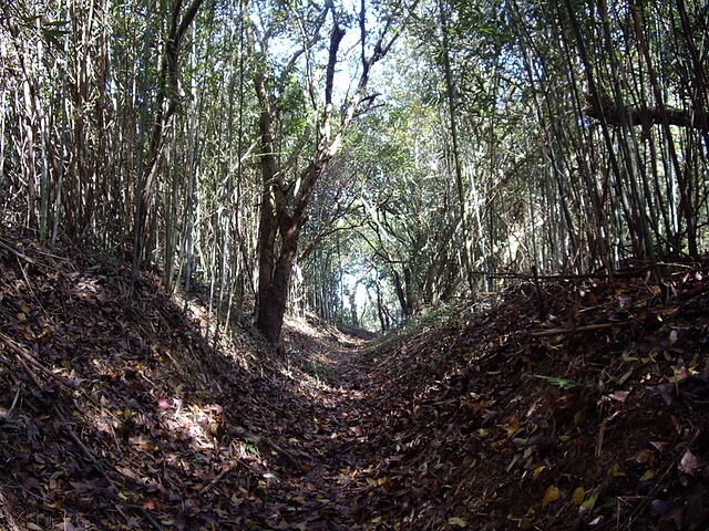 文林古道、糖塔山、高梘頭山