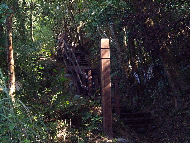 文林古道、糖塔山、高梘頭山