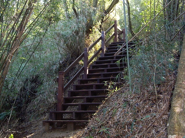 文林古道、糖塔山、高梘頭山