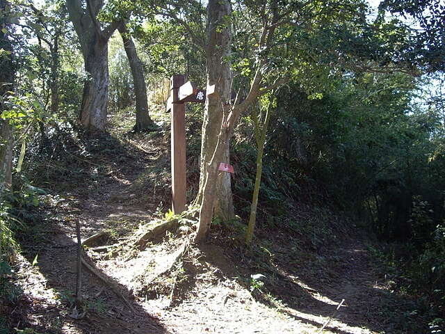 文林古道、糖塔山、高梘頭山