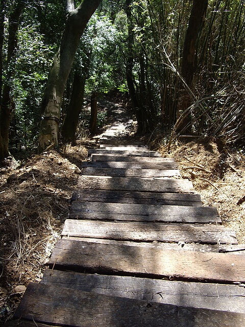 文林古道、糖塔山、高梘頭山