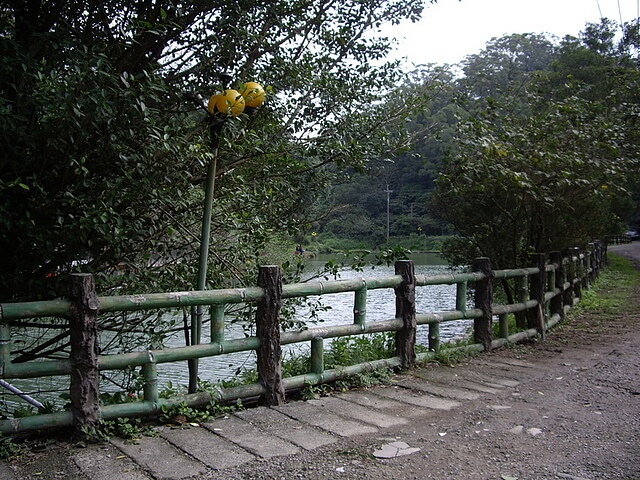 山中湖 太極嶺、五城山、天上山、將軍嶺、文筆山