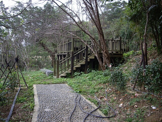 迎龍古道、大鵬山