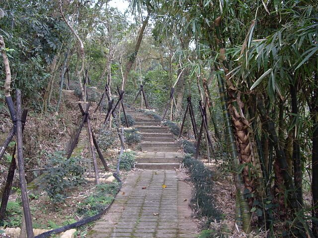 迎龍古道、大鵬山