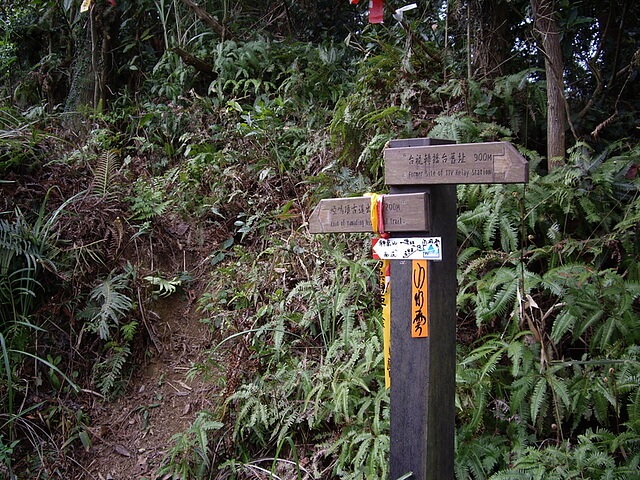 啞嗎頂古道、西溪山、細湖頂山