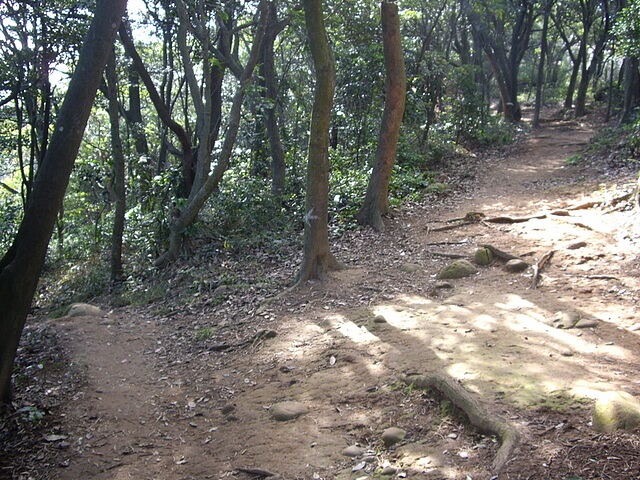 福人登山步道