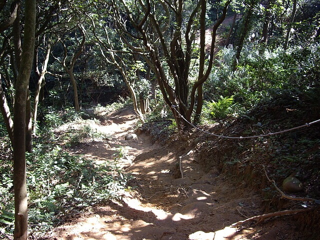 福人登山步道