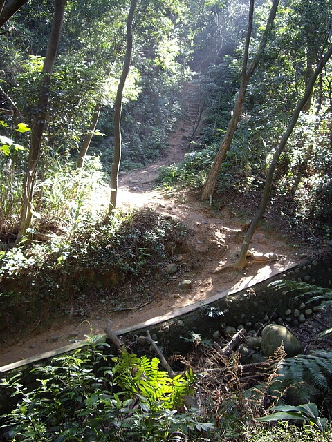 福人登山步道 排水山溝