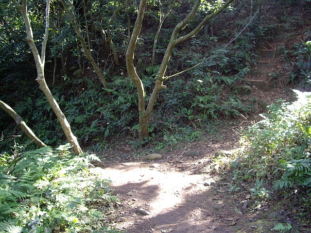 福人登山步道