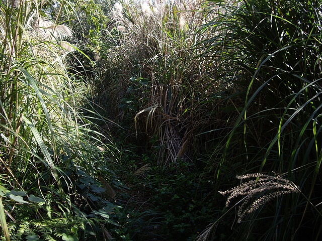 福人登山步道