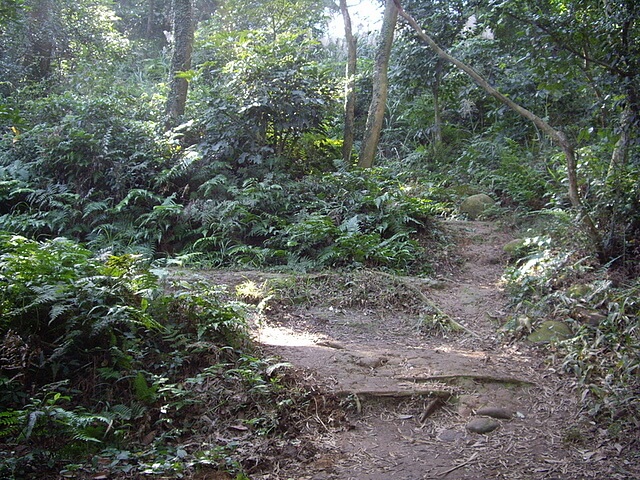 福人登山步道