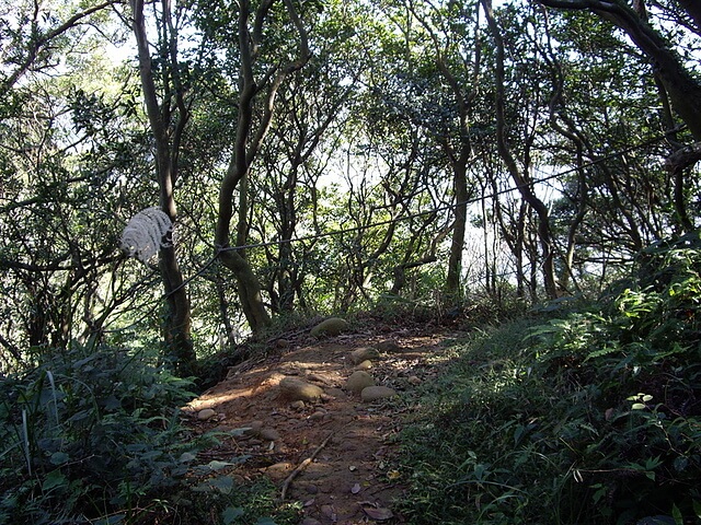 福人登山步道