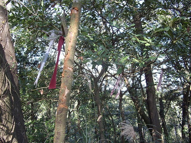 福人登山步道