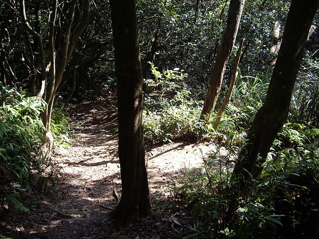 福人登山步道